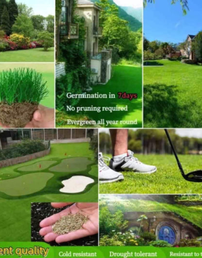 6366